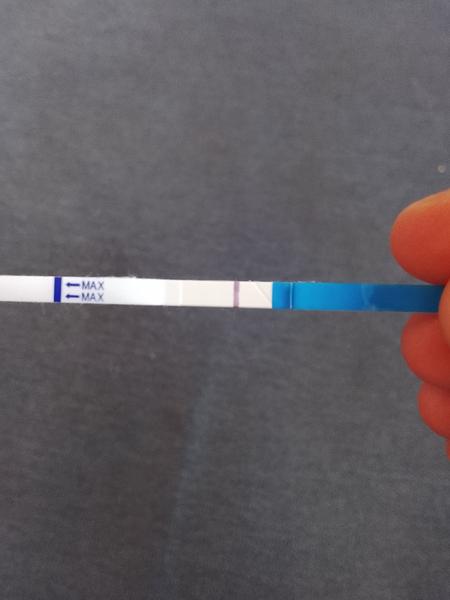 Vidím slabého ducha na těhotenském testu. Jsem těhotná?