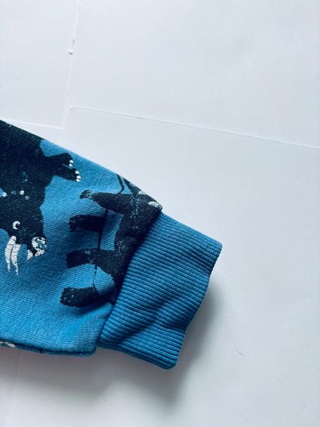 Mikina dino - v.18/23 měs, 92