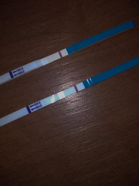 Ryska nebo duch: Jak poznat rozdíl?