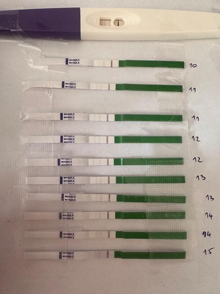 Přijde teprve ovulace? Diskuse o ovulačních testech