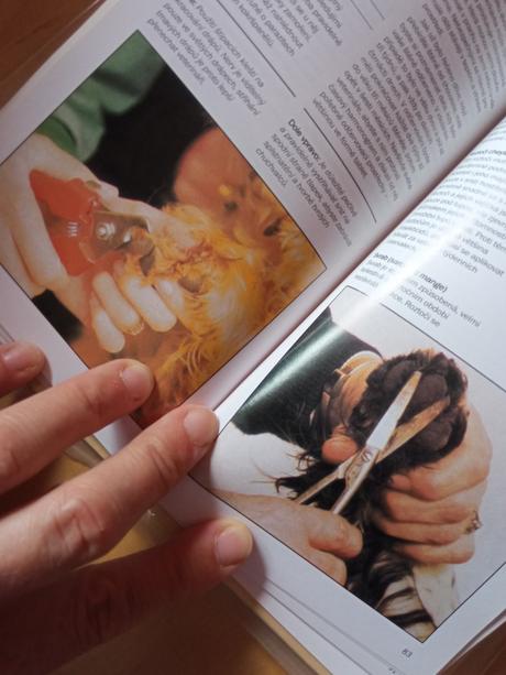 Kniha kokršpanělé,