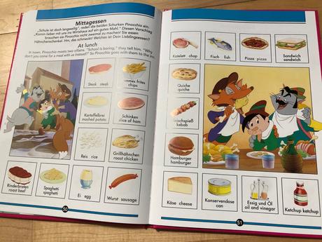 Nemecko - anglicka kniha- obrazky - pro deti,