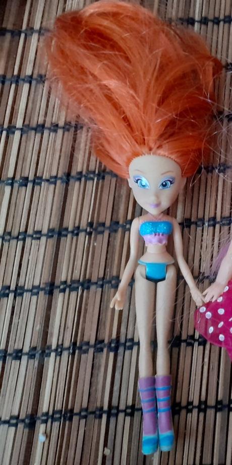 Rezatá hubená panenka malá,