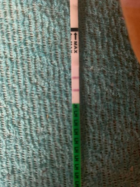 Ovulační test. Pozitivní?