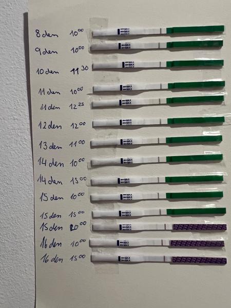 Ovulace po porodu a změny bazální teploty. Co myslíte?
