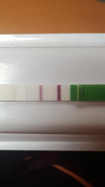 Utrogestan a ovu test. Ovlivňuje ho?