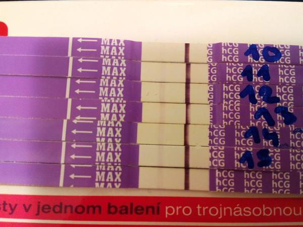 Gravitest od Cemia - máte zkušenost?