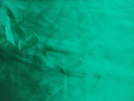 Zelená sukně s knoflíčky, zara,m