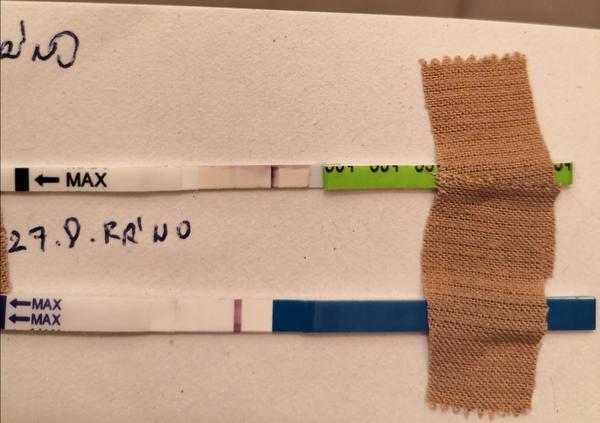 Testování rozhodnutí. Ano nebo ne?