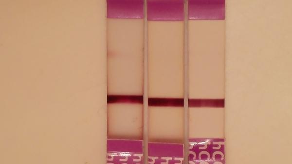 Vadný těhotenský test? Byl déle namočený