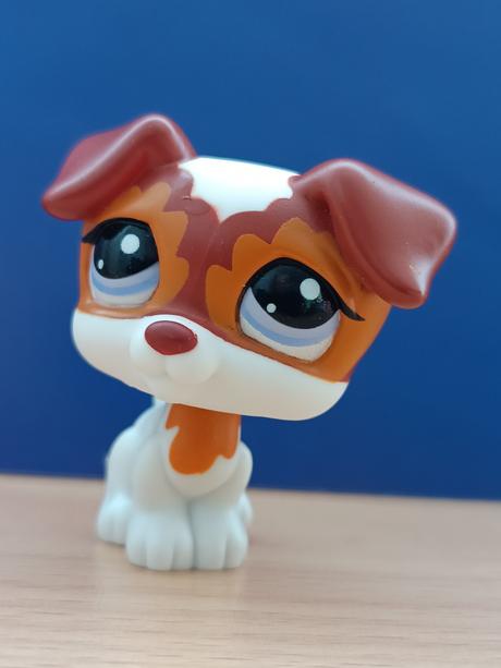 Lps jack russell teriér, 