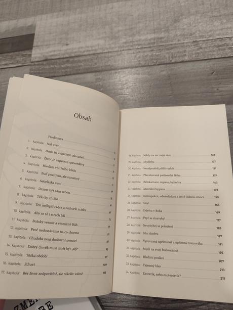 Kniha cesta ven ze šíleného světa,