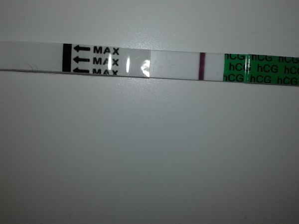 Zase test. Je tam něco?