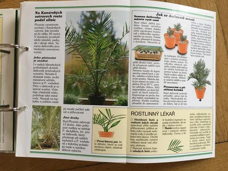 Kniha pokojové květiny od a do z, 