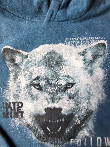 2_mikina s kapucí c&a 146/152, c&a,146