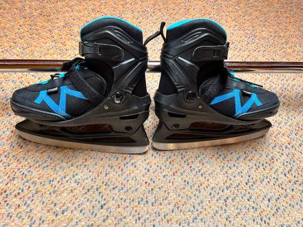 Brusle lední (rostoucí), 33