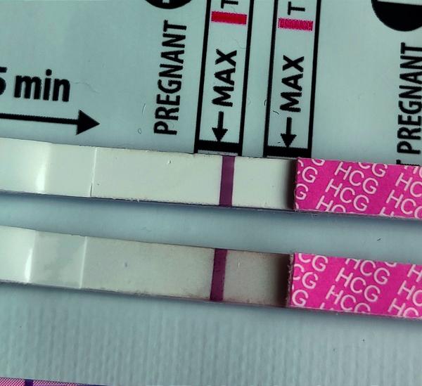 Je Livsanez těhotenský test spolehlivý? Zkušenosti uživatelů