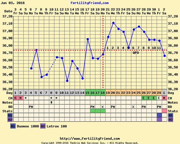 Má cenu zkoušet další IVF, když se embryjko neudrží?