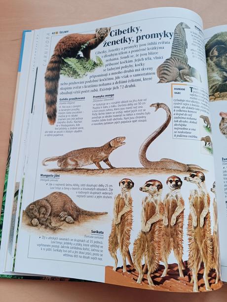 Dětská obrazová encyklopedie - zvířata, 