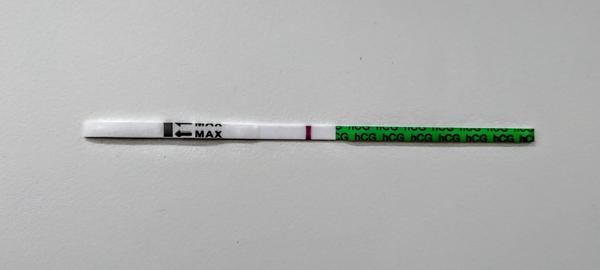 Duch nebo už blbnu?