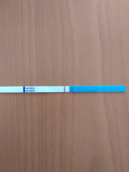 Těhotenství. Co myslíte?