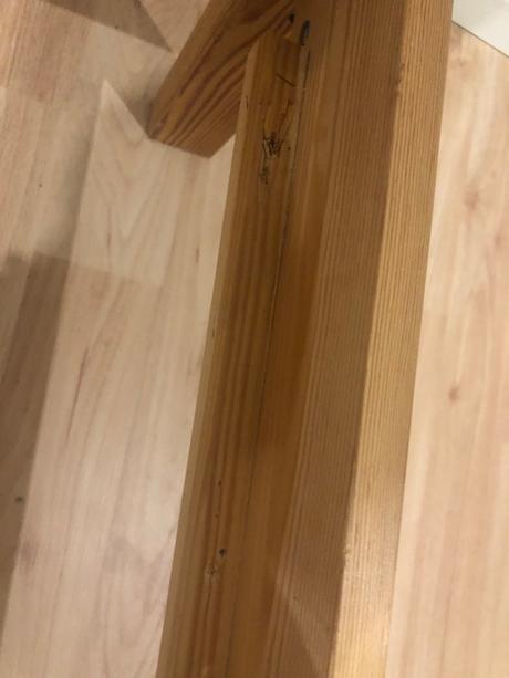 Patrová postel 90 x 200 cm masiv drevo, šířka (cm): 90,délka (cm): 200