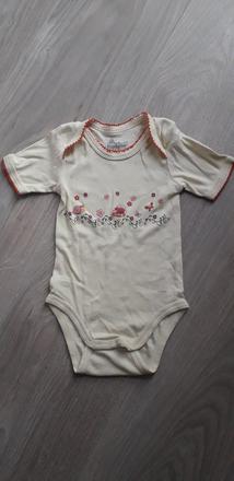 153 - bodyčko papagino, 62