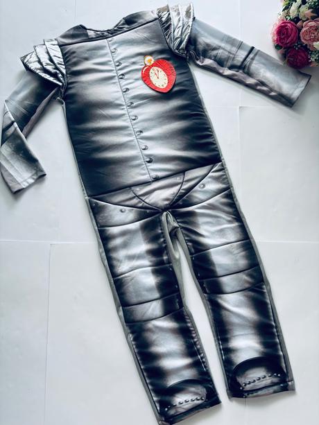 An20/kostým čaroděj země oz/ tin man - v.6/8 let, 