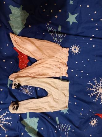 Polodupacky, pepco,56