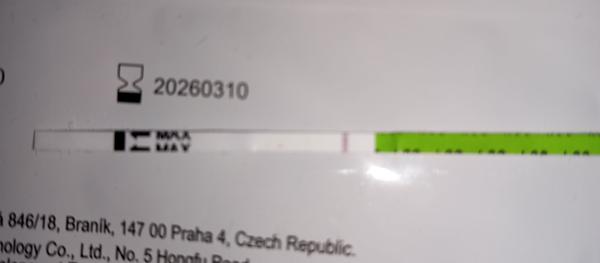 Pozitivní těhotenský test. Už vidíte druhou čárku?