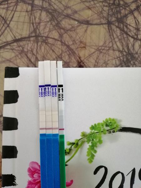 Můžou léky ovlivnit těhotenský test