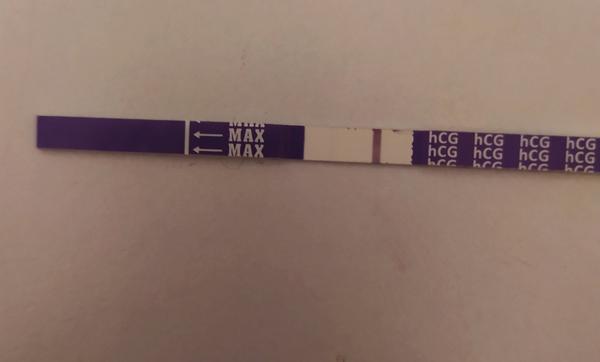 Ms a Ovitrelle. Těhu?