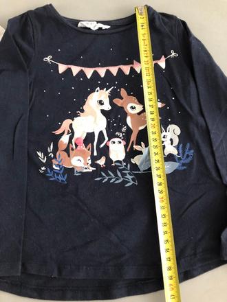 2trika zajíček jednorožec kouzel les 116cm 4-6let, h&m,110