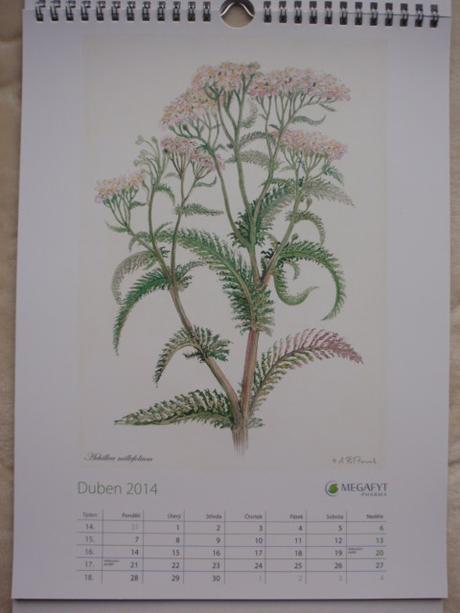 Kalendář nástěnný-na stěnu 2014, 