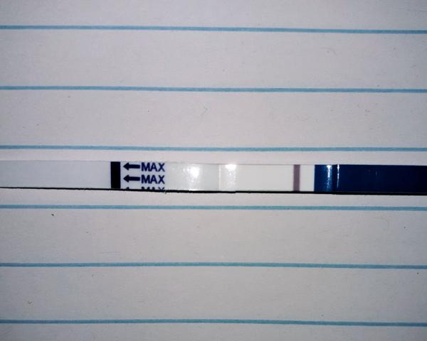 Test Dr. Max. Může způsobit falešný výsledek?