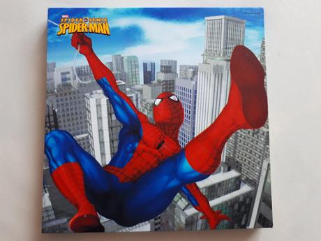 Obrázek spiderman 25x25cm, 