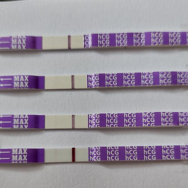 Rozpoznání těhotenství po Ovitrille. Máte zkušenosti?