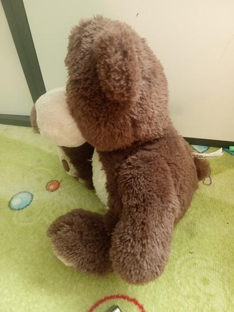 Plyšák medvěd, 