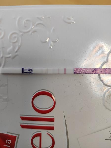 Kdy očekávat ovulaci po pozitivním ovulačním testu?