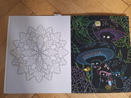 Knížka s vyškrábávacími obrázky, 