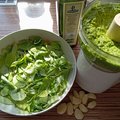cerstve bazalkove pesto na testoviny