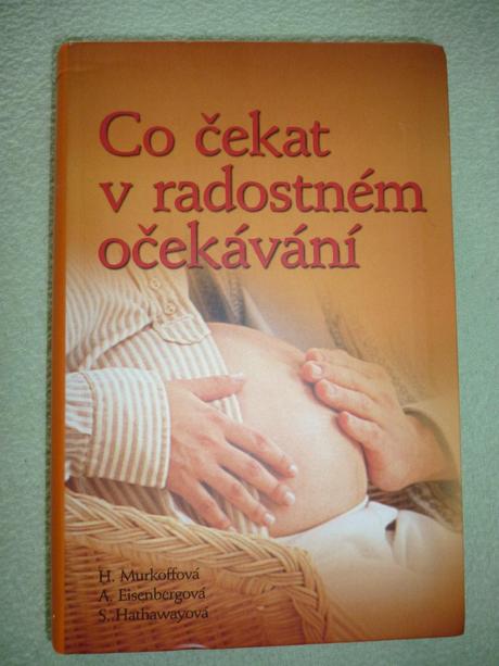 Co čekat v radostném očekávání, 