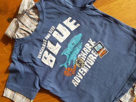 Triko pro kluka., topolino,116