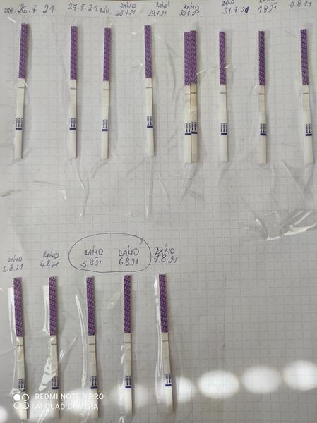 Ovulace: Jak poznat pozitivní test?