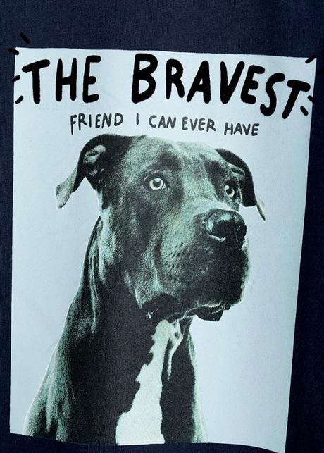 Psí tričko mango se psem s dogou vel. 164, mango,164