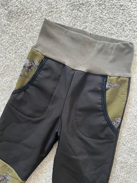 Softshelly s dinosaury, 110