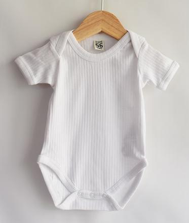 Body vel. 56, 56
