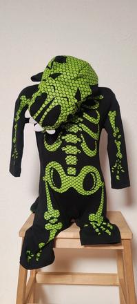 Kostlivec dinosaurus,