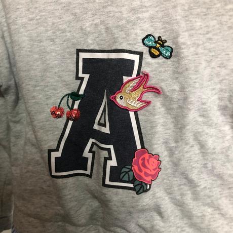 Šedá mikina s písmenem, 110