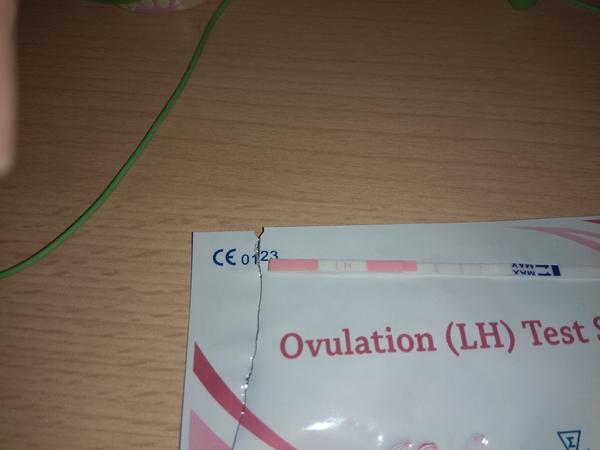 Ovulační test. Co myslíte, může být pozitivní?